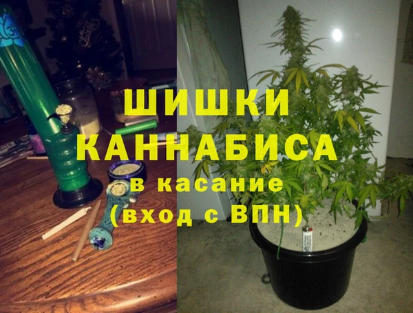 прущая мука Алзамай