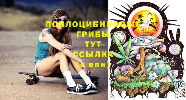 прущая мука Алзамай