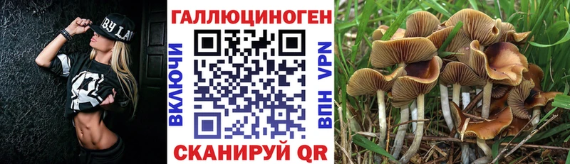 Галлюциногенные грибы ЛСД  Купить где  Ворсма 